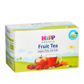 Био плодов чай, кутия 0.040 кг (20 бр. х 2 г) Hipp 369357 2