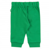 Комплект от два броя памучни панталони за бебе за момче зелен и тъмно син Chicco 371160 5