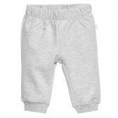 Комплект от два броя памучни панталони за бебе за момче сив и червен Chicco 372085 4