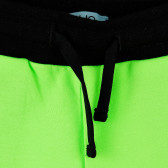 Къси панталони, зелени Liu Jo 372201 2