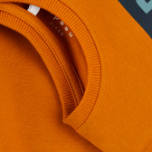 Блуза от органичен памук с графичен принт, оранжева Name it 373024 3