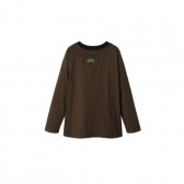 Памучна блуза Green mountain, многоцветна DESIGUAL 375992 3