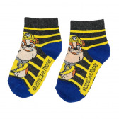 Комплект от три чифта раирани чорапи PAW PATROL Cool club 376417 2