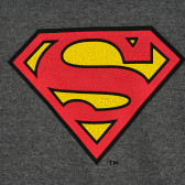 Суитшърт с щампа на Superman, сив Cool club 376558 2