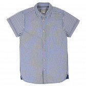 Карирана памучна риза с къс ръкав, синя Cool club 376737 