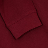 Памучна блуза с дълъг ръкав и щампа Team Gryffindor Cool club 377482 3