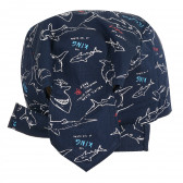 Памучна шапка за момче с акули, синя Chicco 380857 2