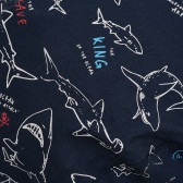 Памучна шапка за момче с акули, синя Chicco 380858 3