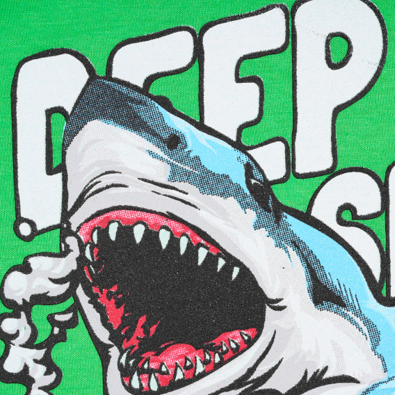 Тениска с акула за момче, зелена ALG 382140 2