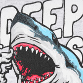 Тениска с акула за момче, сива ALG 382164 2