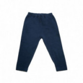 Бебешки плетен панталон за момче син Chicco 38800 2