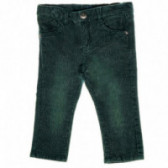 Панталон за момче с износен ефект, тъмнозелен  Chicco 39054 