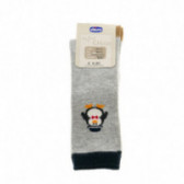 Чорапи за бебе момче, картинка пингвин Chicco 40222 
