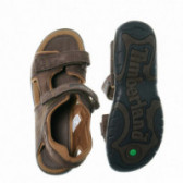 Кожени сандали за момче, кафяви Timberland 48838 