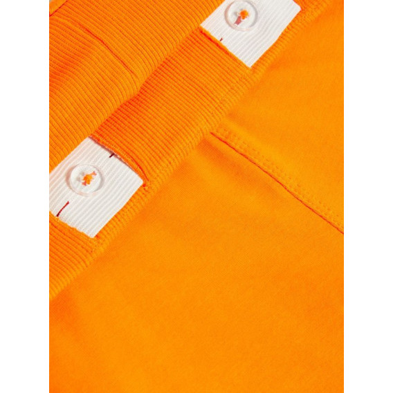 Къси панталони от органичен памук за момче, оранжеви Name it 50830 4