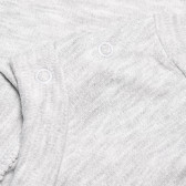 Памучна блуза с дълъг ръкав и малка щампа за бебе момче, сива Bebetto 55100 4