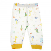 Комплект памучни панталони за бебе - унисекс Bebetto 55282 8