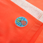 Canada House комплект от памучни блуза с къс ръкав с картинка и оранжеви къси панталони за момче Canada House 61761 3