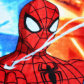 Памучна плажна кърпа за момче с принт на Spiderman Disney 65758 5
