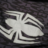 Памучна тениска със знака на Spiderman за момче Reebok 66984 3