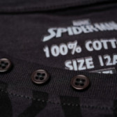 Памучна тениска със знака на Spiderman за момче Reebok 66986 4