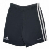 Къси панталони за момче с лого на марката Adidas 68351 2