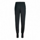 Дълги спортни панталони за момиче, черен цвят Athlitech 69657 2
