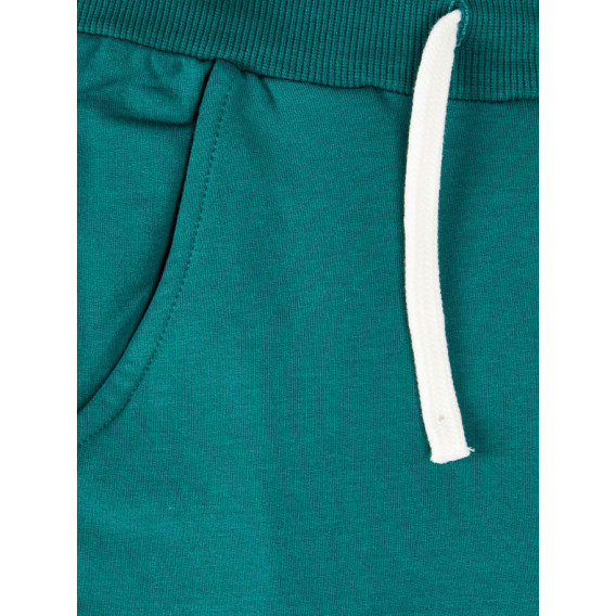 Памучен спортен панталон унисекс, зелен Name it 72709 4