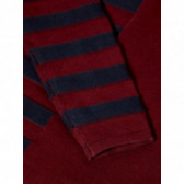 Пуловер памучен с качулка от органичен памук за момче, червен Name it 77008 3