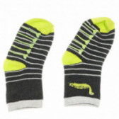 Комплект чорапи за момче с динозаври Cool club 78991 3
