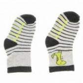 Комплект чорапи за момче с динозаври Cool club 78995 7