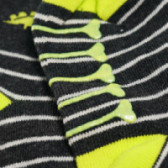 Комплект чорапи за момче с динозаври Cool club 79003 15