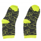 Комплект чорапи за момче с динозаври Cool club 80196 21
