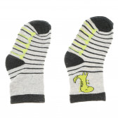 Комплект чорапи за момче с динозаври Cool club 80197 22