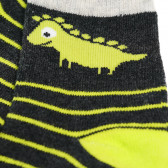 Комплект чорапи за момче с динозаври Cool club 80201 26