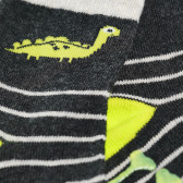 Комплект чорапи за момче с динозаври Cool club 80204 29
