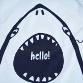 памучен потник за бебе момче с щампа на акула Pinokio 94599 3