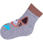 Комплект бебешки чорапи за момче YO! 9621 4