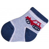 Чорапи за бебе момче, памучен бленд YO! 9652 3
