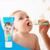 Паста за зъби за бебета и деца, пластмасова тубичка, 50 мл brush-baby 99521 2