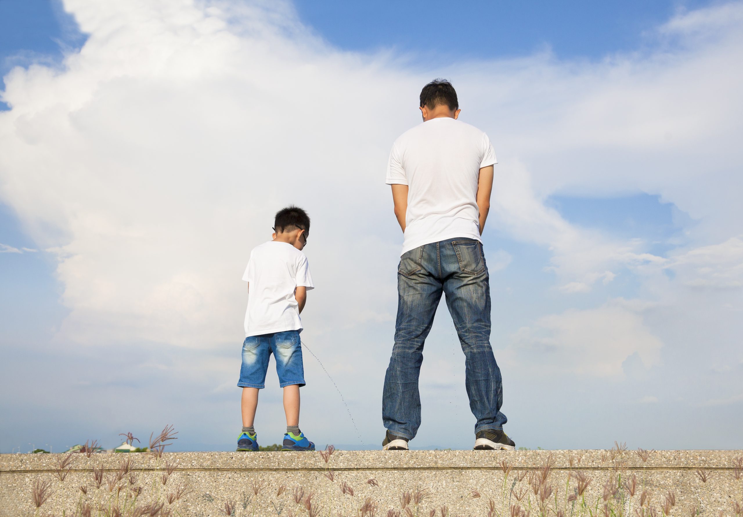 Father,and,son,standing,on,a,stone,platform,and,pee