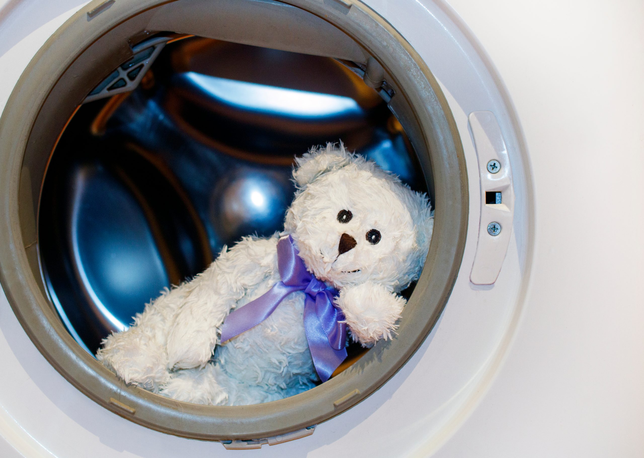 white,teddy,bear,lies,in,the,washing,machine